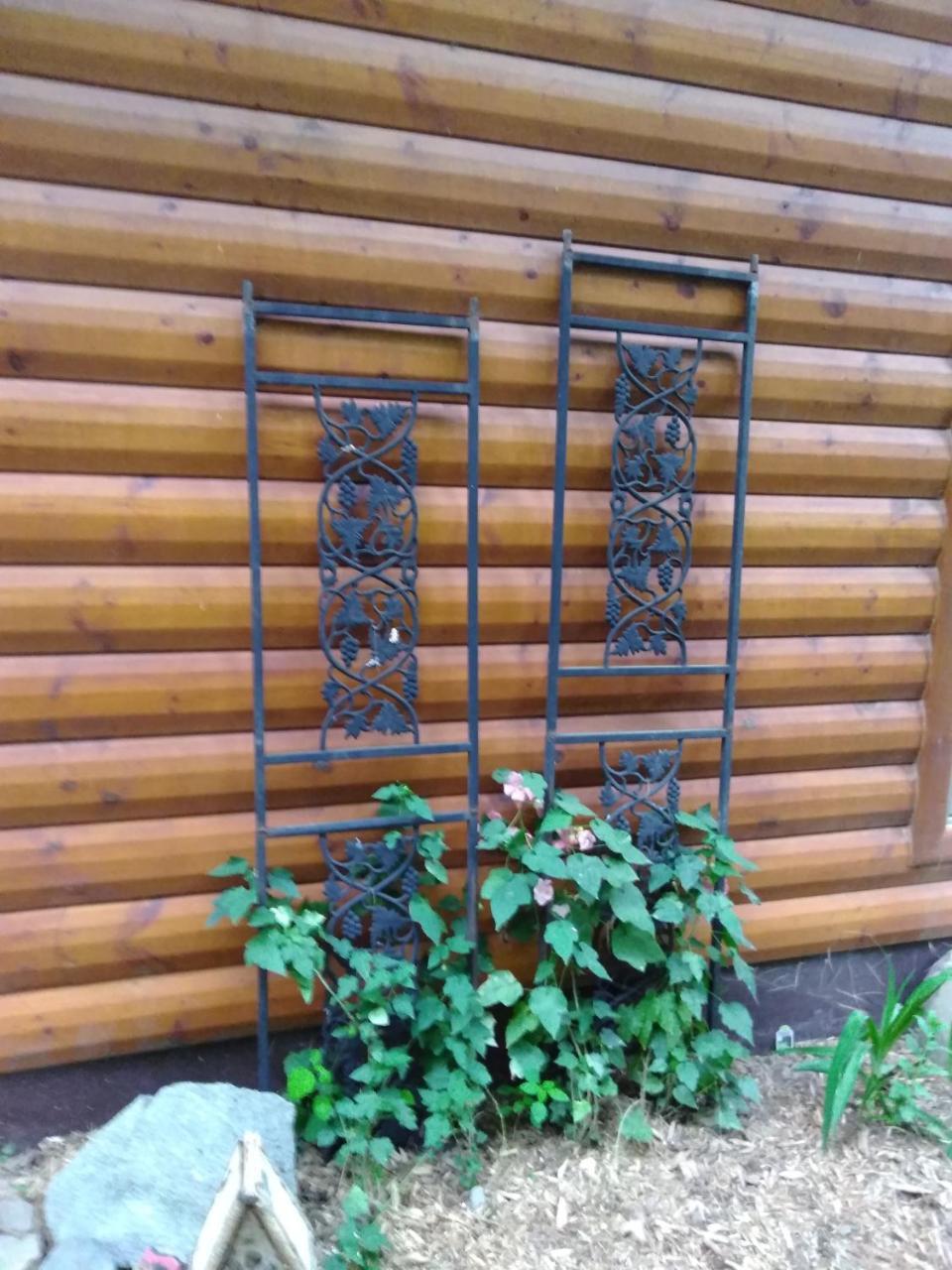 Bed And Breakfast Suite At The Wooded Retreat Pine City Екстериор снимка